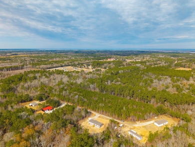 DJI_20250130121535_0126_D