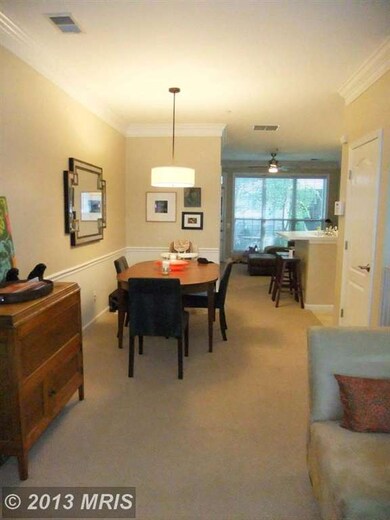 1732 Osage St, Alexandria, VA 22302 - photo 6