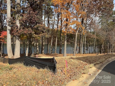 1207 Portofino Place, Davidson, NC 28036 - photo 3