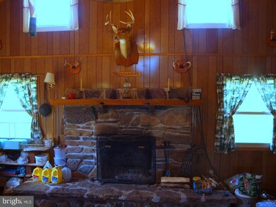 1162 Brushy Run Rd, Seneca Rocks, WV 26884 - photo 6