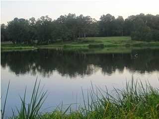 Lovely view in the neighborhood