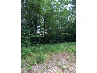 9 Upper Beecham Hill Rd, Ossipee, NH 03864 - photo 2