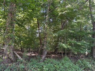 00 E Division Rd, La Porte, IN 46350 - photo 3