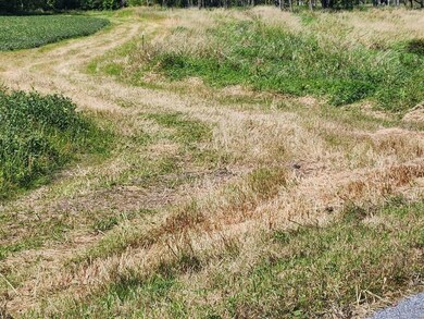 0 Irish Rd, New Holstein, WI 53061 - photo 5