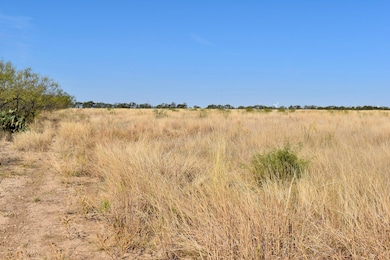 85 Private Road 527, Brady, TX 76825 - photo 5