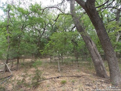 9227 Saddle Trail, Cross Mountain, TX 78255 - photo 5