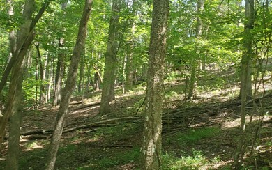 Additional View