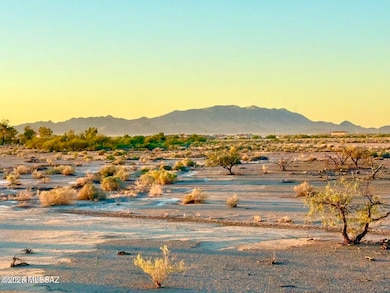 TBD Silver Bell Rd Lot #1 4 67 Ac, Casa Grande, AZ 85193 - photo 6