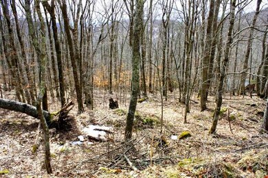 Level Building Sites, Long Range Views Possible
