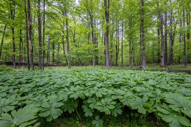 0 Mossy Hill Rd unit KEY862648, Catskill, NY 12414 - photo 4