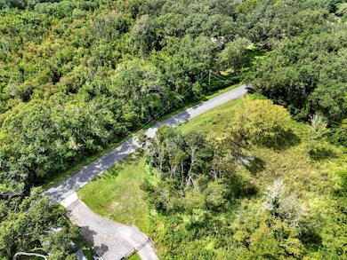 15325 Trousdale St, Clermont, FL 34715 - photo 5