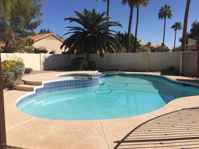 Pool & Spa