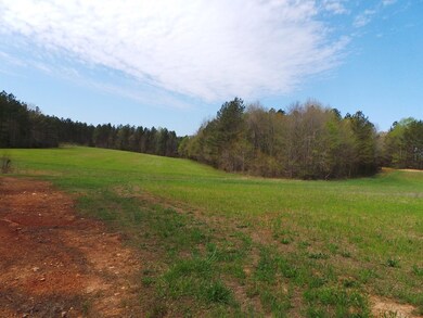 Imagine That Gobbler Strutting Out Here