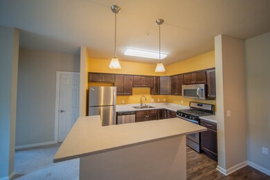 5194 Sassafras Dr unit 213, Fitchburg, WI 53711 - photo 5