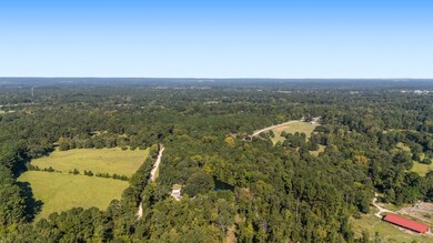 TBD Old Israel Rd, Livingston, TX 77351 - photo 6