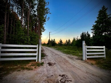 1739 Snellbridge Rd, East Dublin, GA 31027 - photo 5