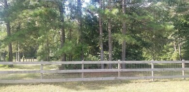 26047 Rolling Forest Ln, Hockley, TX 77447 - photo 6