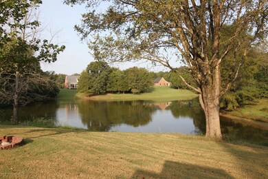 IMG_1920
