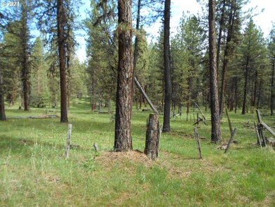 0 unit 21242753, Fox, OR 97856 - photo 2