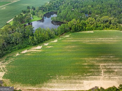 0 Miller Street Extension unit LOT 20, Statesboro, GA 30458 - photo 6