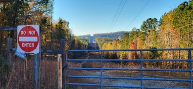 0 Budapest Rd unit 1522426, Tallapoosa, GA 30176 - photo 3