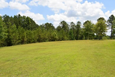 116 Azalea Ridge Dr, Lucedale, MS 39452 - photo 7