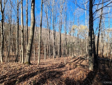 0 County Road 126, Greenwood, NY 14839 - photo 3