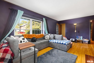 336 W Chestnut St, Canton, IL 61520 - photo 4