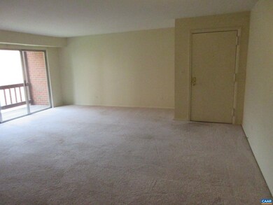1215 Wertland St unit C34, Charlottesville, VA 22903 - photo 5