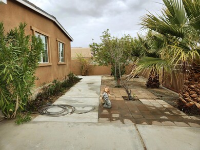 Side Yard