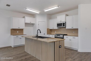 326 Forest Grove Dr, Youngsville, LA 70592 - photo 4