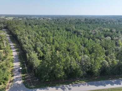 0 Hwy 1045 Hwy unit LotWP003 24553811, Amite, LA 70422 - photo 4