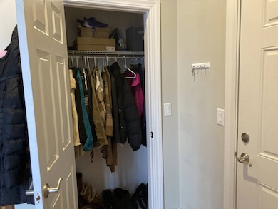 Entryway Closet