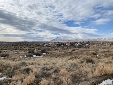 3830 Artemisia Rd, Winnemucca, NV 89445 - photo 6