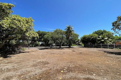 Looking from backside of property towards the street.
