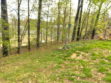 side lawn