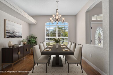 10271 Palmgren Ln, Spring Hill, FL 34608 - photo 4