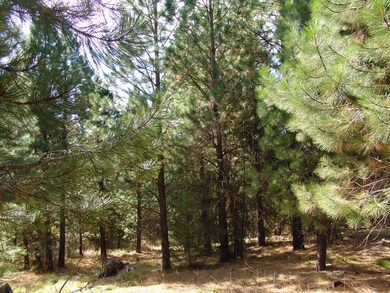 L14 B3 Carol Ct unit 14, Cascade, ID 83611 - photo 4