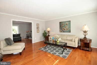 4820 King Solomon Dr, Annandale, VA 22003 - photo 5