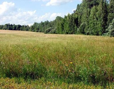 Land.