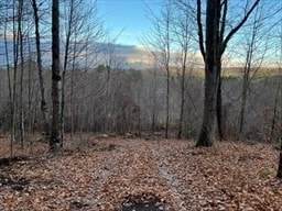 Lot 4 Brimfield Rd, Warren, MA 01083 - photo 3