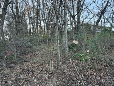 Tbd Briscoe Dr, Bristol, VA 24202 - photo 5