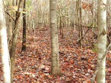 0 Bennett Farm Rd, Asheboro, NC 27205 - photo 6