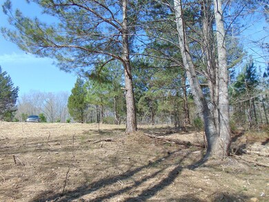 7.87 AC Paran Rd, Cookeville, TN 38506 - photo 3