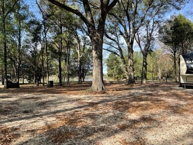 2231 SE County Rd, Kerens, TX 75144 - photo 3