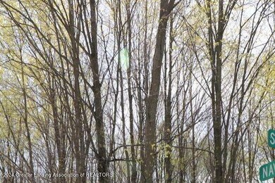 2655 Navigator Ln, Lansing, MI 48911 - photo 5