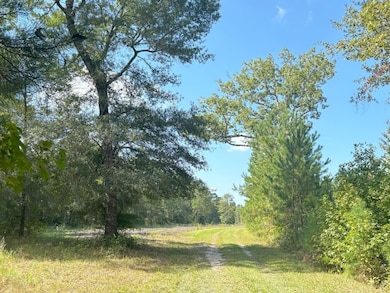 food plot