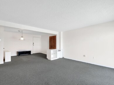 26 Waverly St unit 309, Brighton, MA 02135 - photo 3