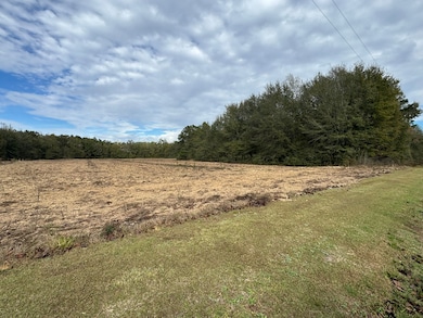 Lot 1 Freemanville Dr, Atmore, AL 36502 - photo 4