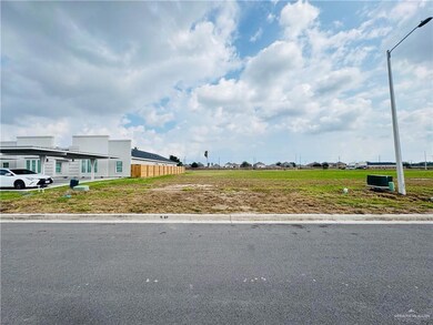 1400 San Vicente, Weslaco, TX 78596 - photo 2